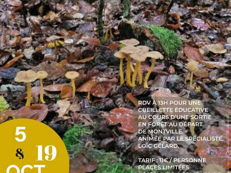 Sorties Les champignons, les connaître et les reconnaître