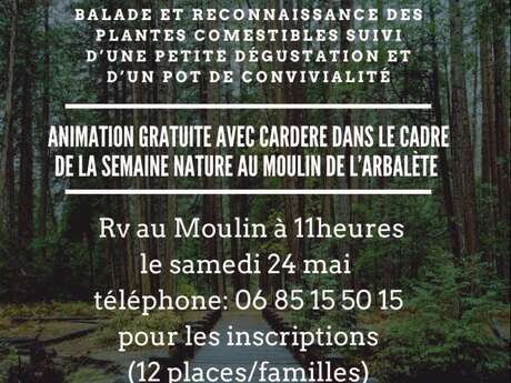 Balade et reconnaissance des plantes comestibles - Semaine de la nature au Moulin de l'Arbalète