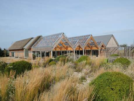 Ateliers au jardin "tressage"