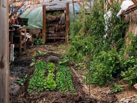 ((Initiation)) Permaculture · Jardin autrement Du 29 juin au 26 oct 2024