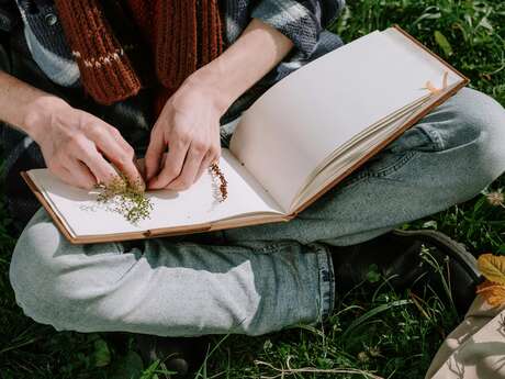 Promenade "Fabrique ton herbier"