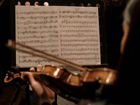 Concert Ensemble Vivaldi