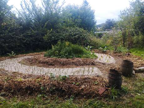 Initiation à la permaculture