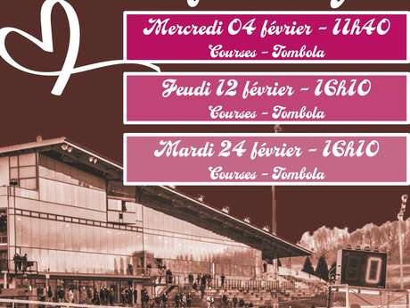 Courses hippiques à l'hippodrome de Mauquenchy