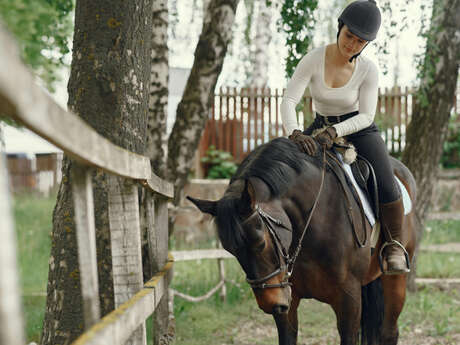 Randonnée équestre : Lillebonne par le Cirque Romain