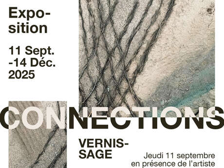 Exposition Art Contemporain - CONNECTIONS par Romain Froquet
