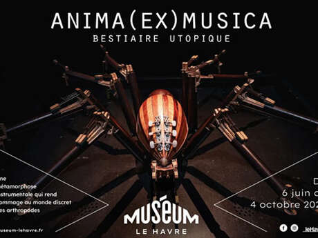 Exposition : Anima (Ex) Musica