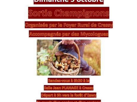 Sortie champignons