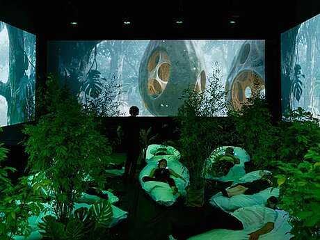 [COMPLET] Théâtre : Sleep for Earth