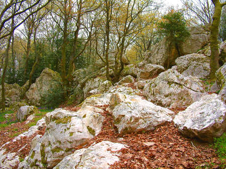 Site des Rochers de Pyrôme
