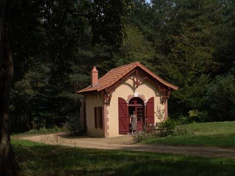 Cocon au coeur des bois (vh)