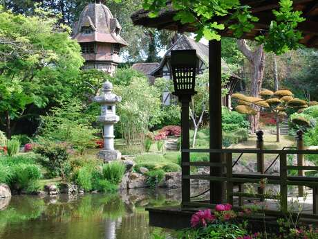 Ambiance relaxante