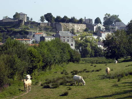 Mauléon, Petite Cité de Caractère®