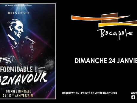 Spectacle - Formidable ! Aznavour