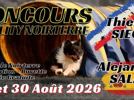 Concours d'agility