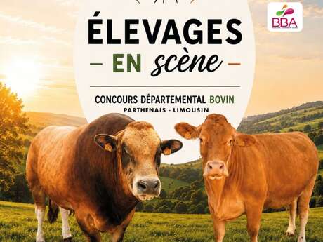 Elevages en scène - Concours départemental bovin