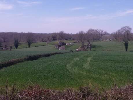 L'Absie - Circuit des Bois des Hauts de Gâtine