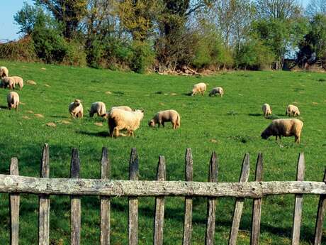 Saint-Paul-en-Gâtine - Aux portes de la Vendée
