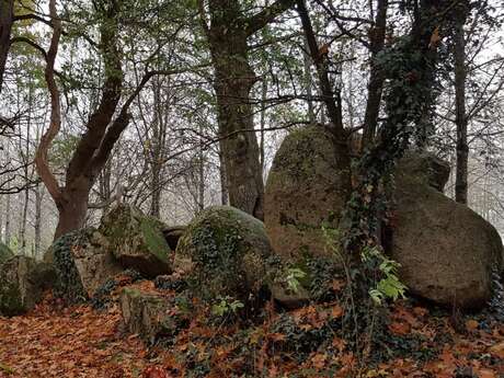 Cerizay - La boucle du Plessis, chemin des lavoirs et châteaux