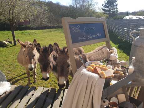 La Ferme aux Ânesses - Savons au lait d'ânesse bio