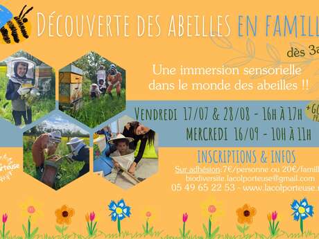 Découverte des abeilles en famille