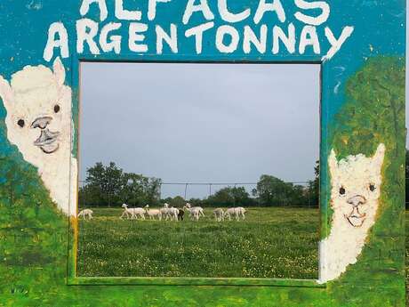 Argentonnay Alpacas