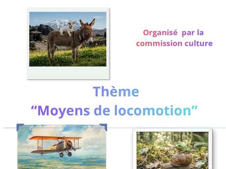 Concours photographique
