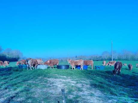 Ferme du Sourdis