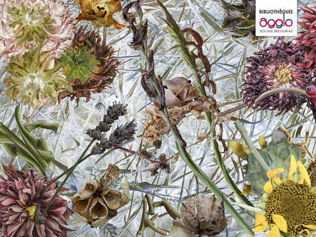 Exposition - Imaginaire végétal de Françoise Courtin