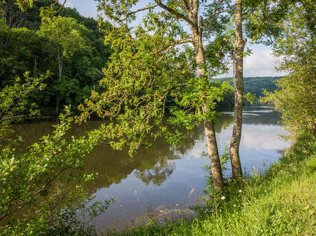 Les oiseaux de la confluence