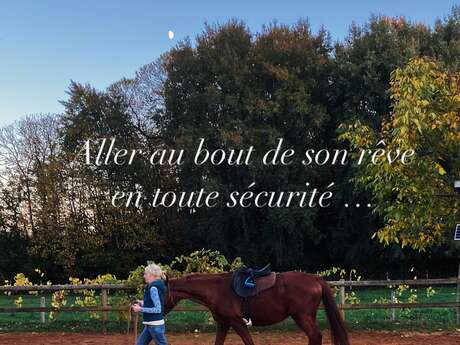 Séance de travail à pied, améliorer la compréhension Homme/Cheval - 1h