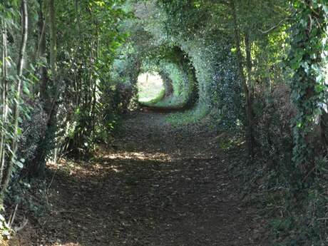 CIRCUIT PÉDESTRE LE SENTIER ST ROCH