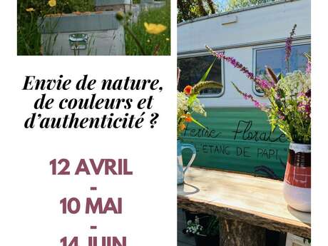 "Une journée pour se reconnecter à la nature"  à l'Etang de Papi