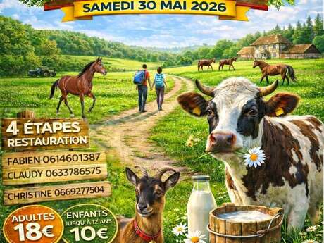 8ème Randonnée gourmande en semi-nocturne