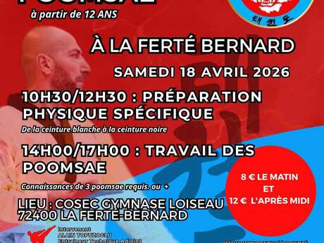 STAGE TECHNIQUE POOMSAE