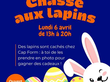 Chasse aux lapins