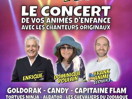 Manga Fever - Concert animé