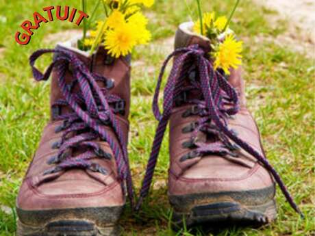 Randonnée du 1er mai - Brissarthe