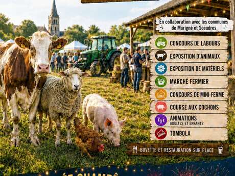 Fête de l'élevage à Cherré
