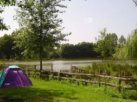 Camping La Jamonière - Les Amis de la Forêt