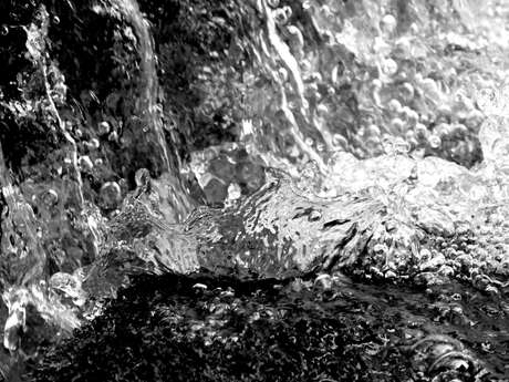 Eau & santé : d’où vient l’eau de mon robinet ?