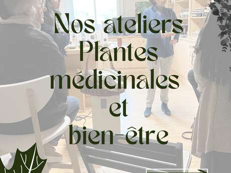 Atelier de plantes médicinales et bien-être