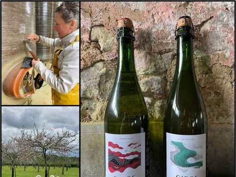 Cidrerie Sophie Ammann