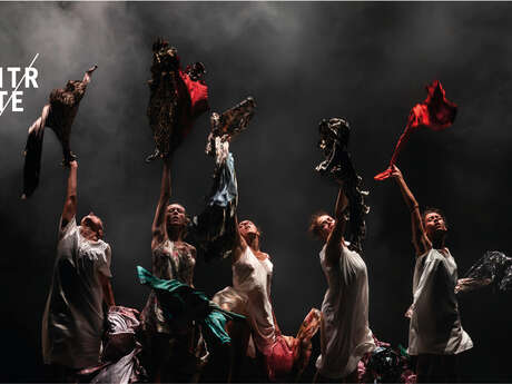 Maldonne / Compagnie Leïla Ka