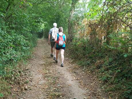 CIRCUIT PÉDESTRE LE SENTIER DU LYS ( LA CHAPELLE AUX LYS)