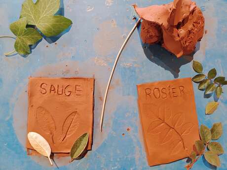 Atelier Enfant "Herbier d'Argile"