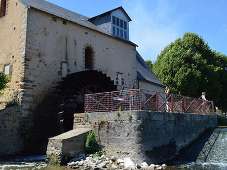 Festival d'arts de la rue l'île en été
