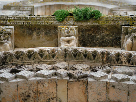 Les petits secrets de Maillezais