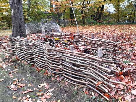 Atelier jardinage - Création d'une haie sèche