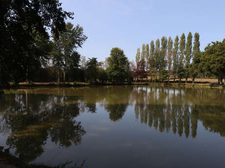 Ancinnes fishing pond